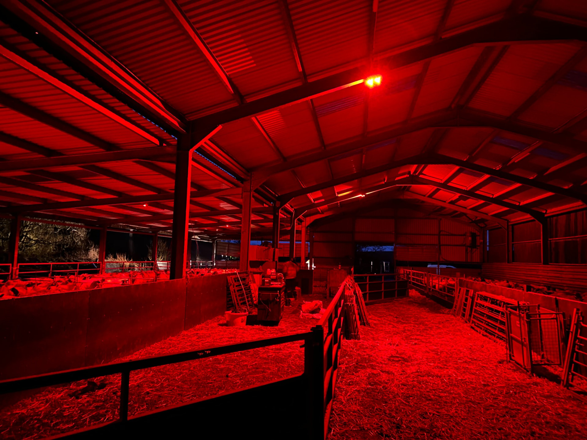 Agricultural shed lighting installation by Galligan Electrical Services